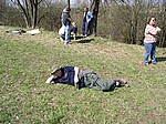 P4230099