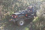 IMG 4300.jpg t400
