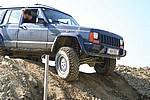 IMG 4386.jpg t400