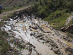 DSC00314