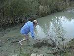 DSC00340